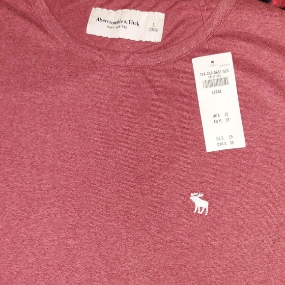 Abercrombie and Fitch Long Sleeve Tee size Large NWT - Picture 4 of 8